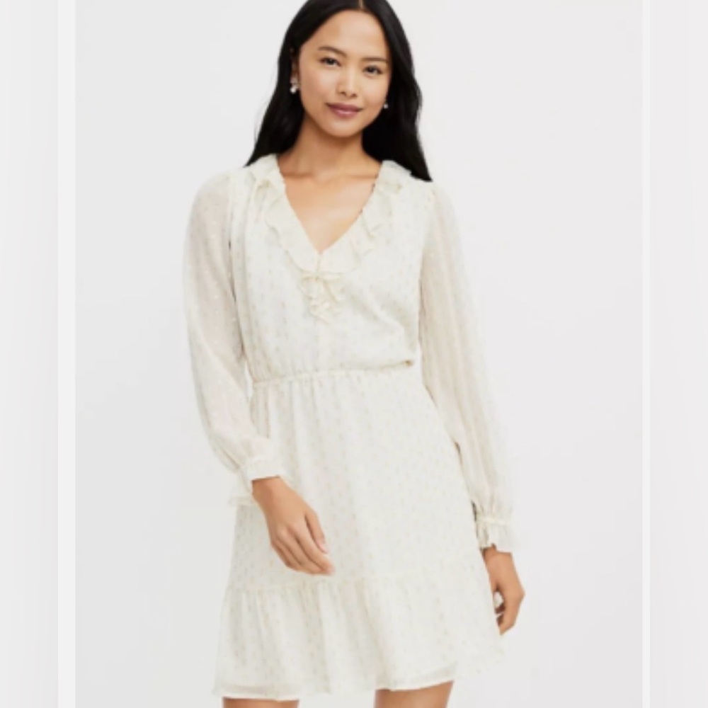 LOFT Ivory with Gold Thread Polka Dots Long Sleeve Mini Dress NWT - Large